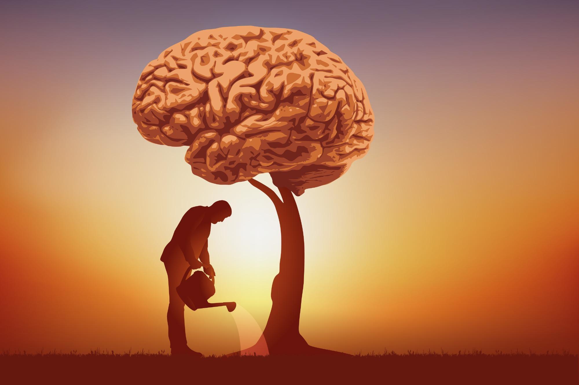 Evaluating the Seven Components of Wisdom