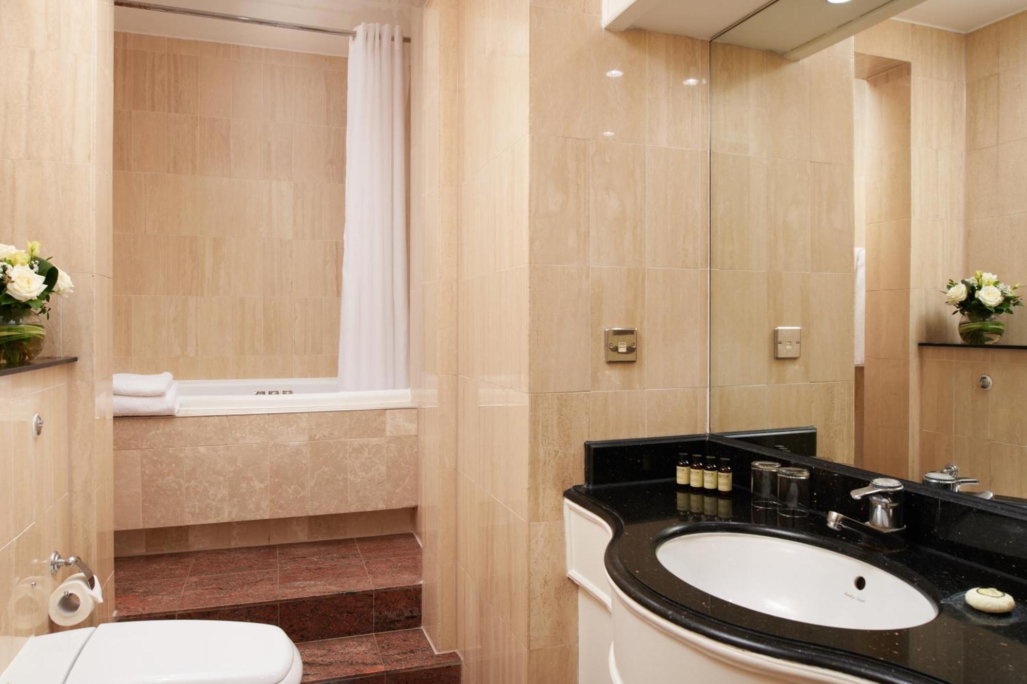 Suite Estudio con 1 cama doble
