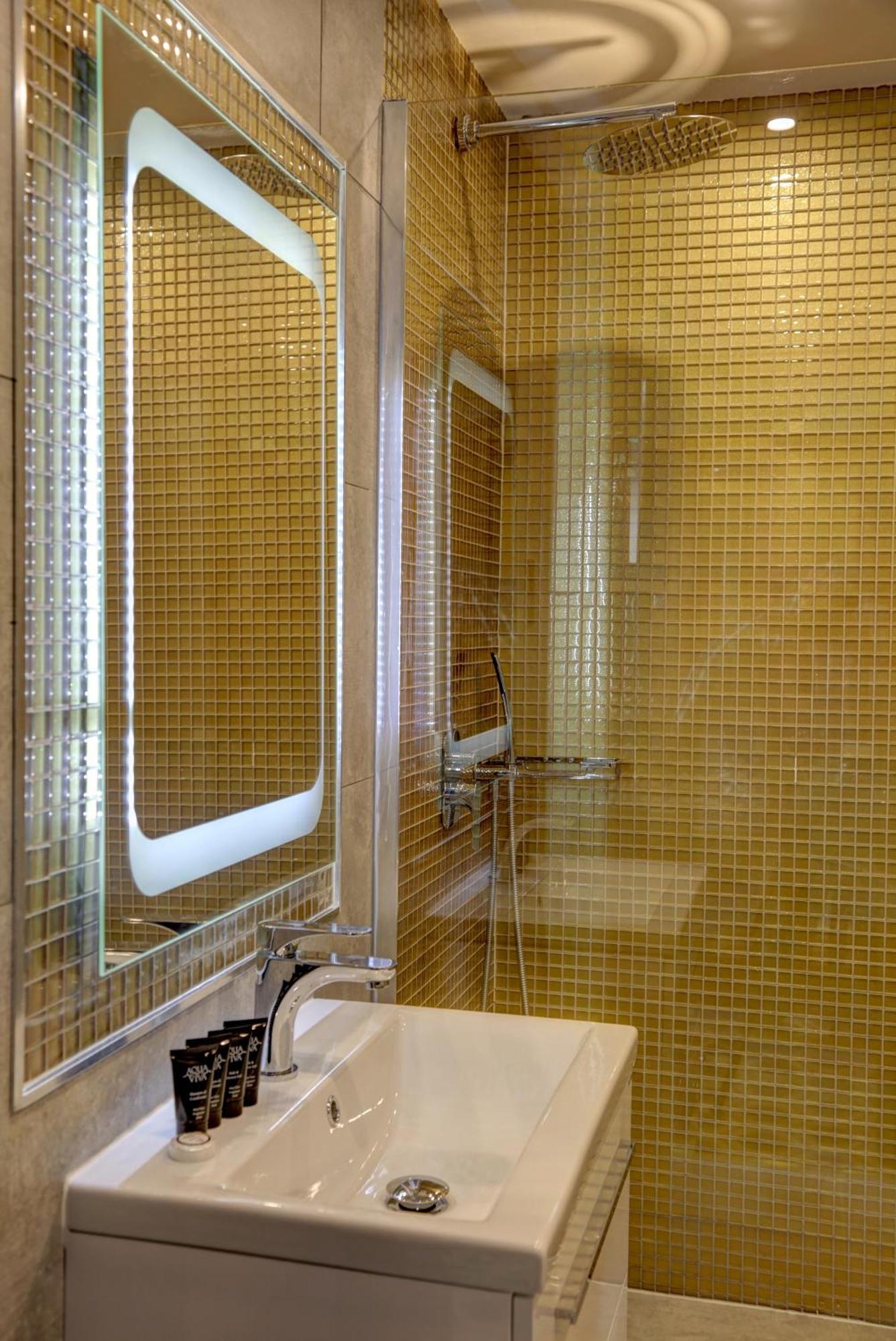 Executive Double Room Shower Non-Smoking