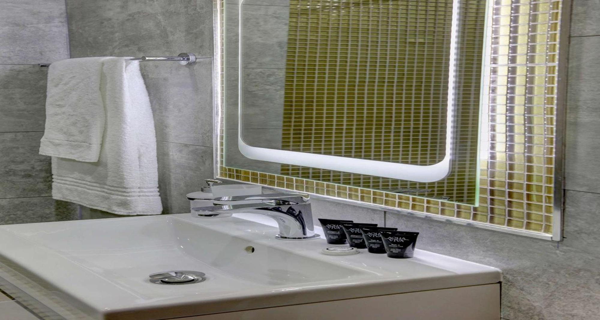 Executive Double Room Shower Non-Smoking
