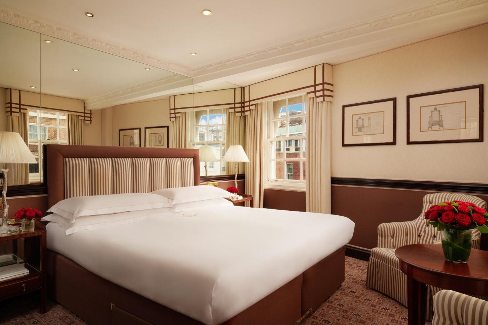 Superior King Room,1770440965:JPEG