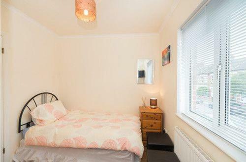 Economy Single Room,872953646:JPEG