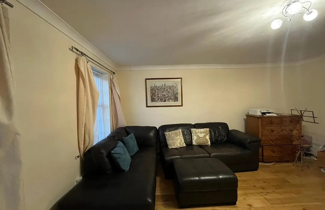 Beautiful Big Living Room With Sofa Bed-1