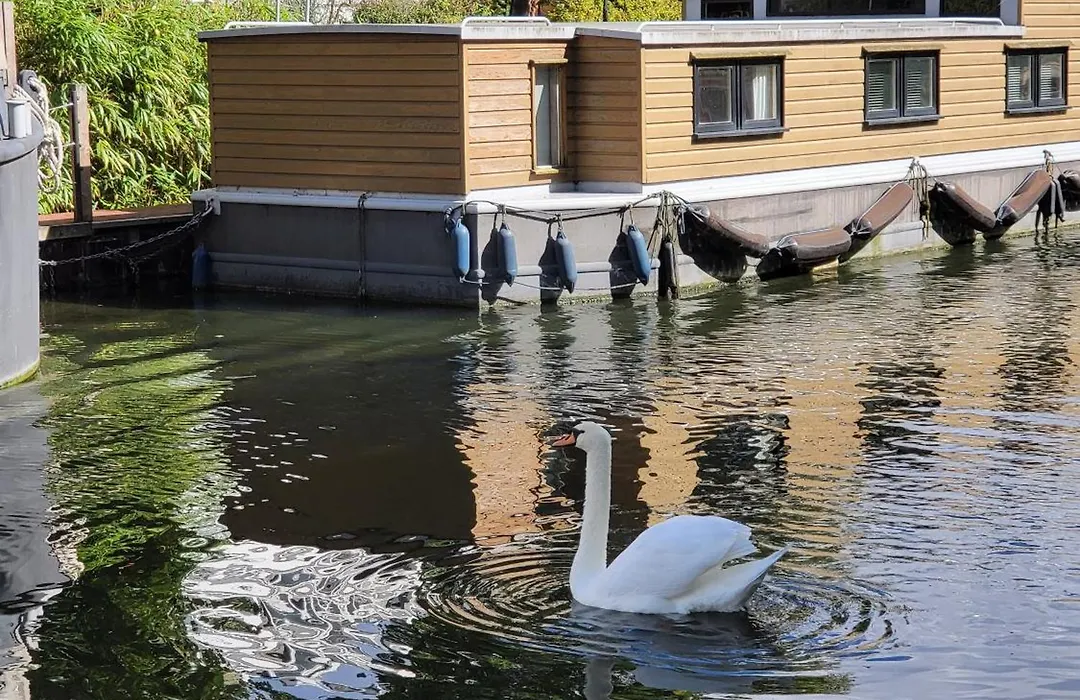 Cosy Canal Boat In Little Venice For Family & Friends-1