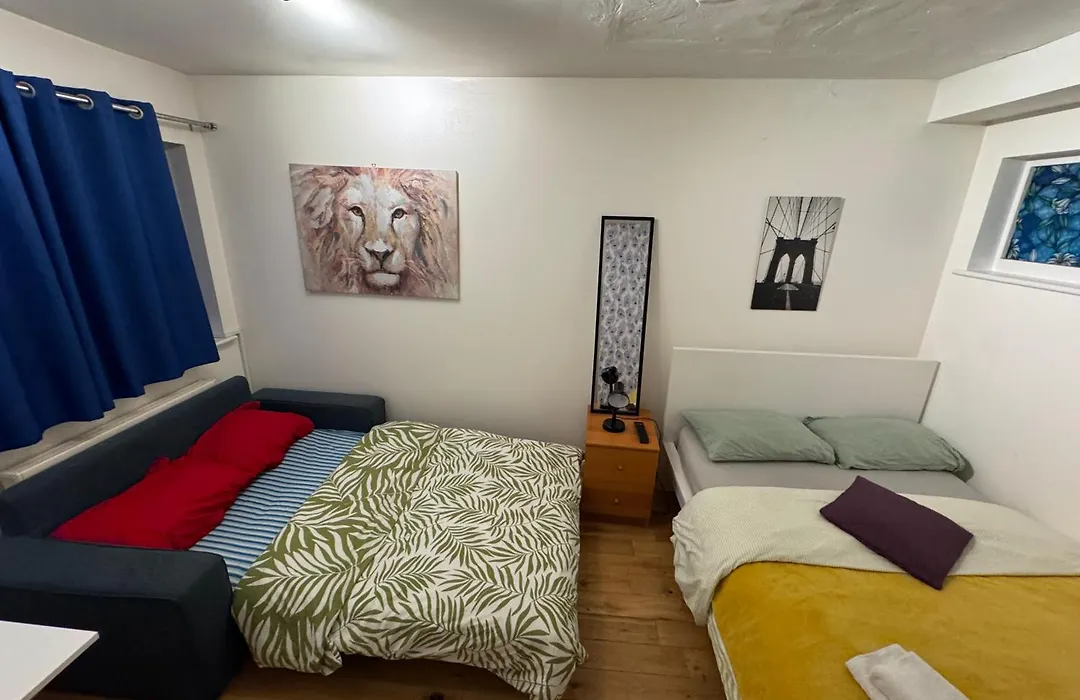 Cozy Rooms Near Central London-1