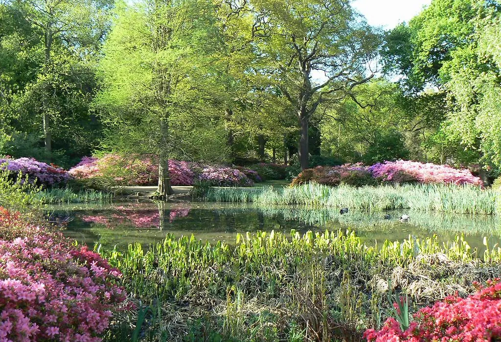 Londonhomegardens-1