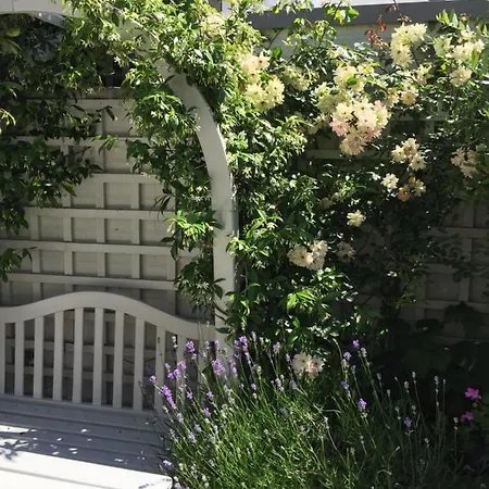 Fulham B&B-3