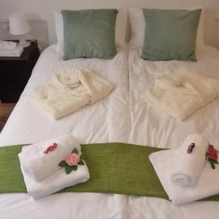 Newham Park View Guest House-2