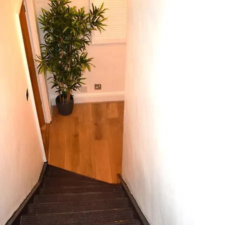 Cozy Room In A Shared House-2