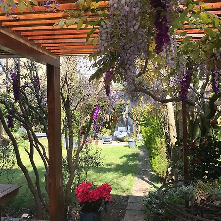 Londonhomegardens-2