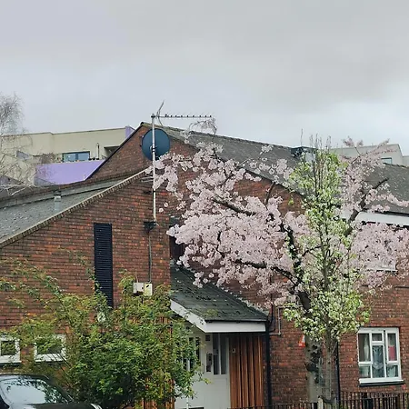 Clifton House O2 & Excel Rooms With Private Bathroom And Breakfast Option-2
