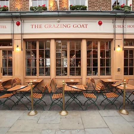 The Grazing Goat-3