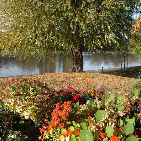 Chiswick Riviera With Free Parking-3