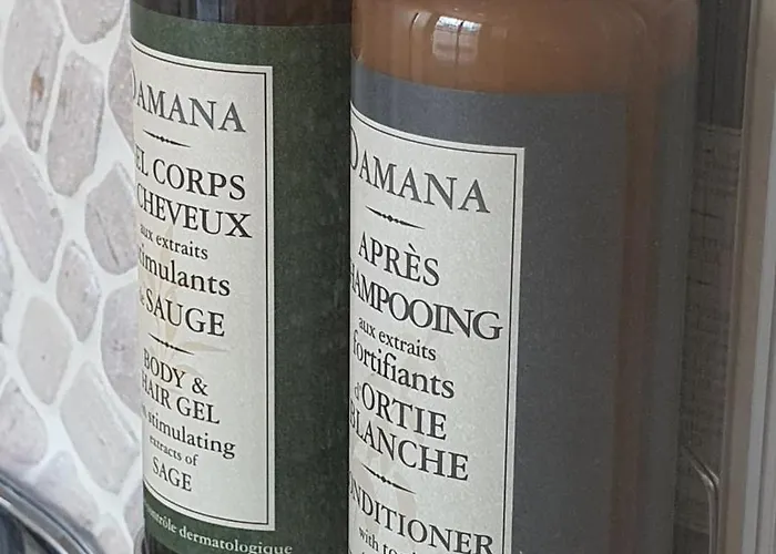 The Griffin Belle Hotel Vauxhall Λονδίνο